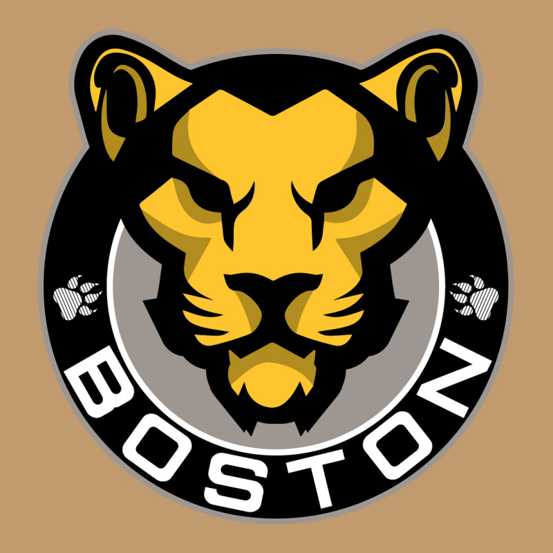 The Boston Pride Urban Pullover Hoodie by aqsat | Artistshot