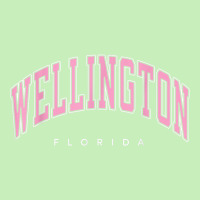 Wellington Florida Fl Varsity Style Pink Text Urban Pullover Hoodie | Artistshot