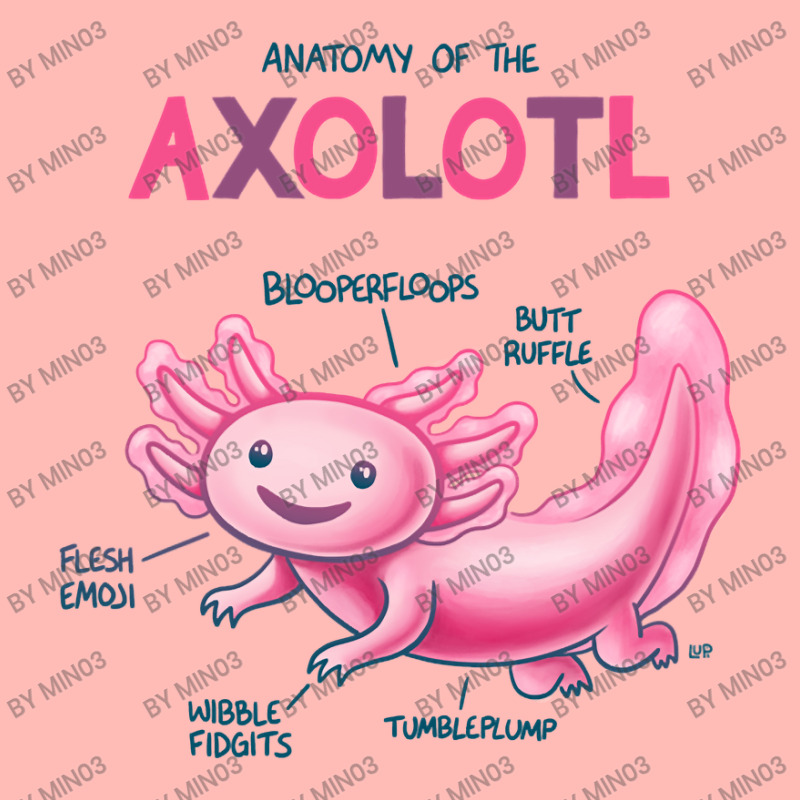 Anatomy Of The Axolotl Urban Pullover Hoodie | Artistshot