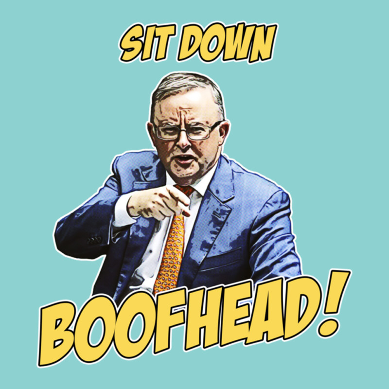 Sit Down Boofhead - Albo Auspol Dutton Australian Politics Anthony Alb Leatherette Tumbler | Artistshot