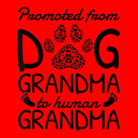 Baby Announcement Promoted From Dog Grandma To Human Grandma Bomber Jacket | Artistshot