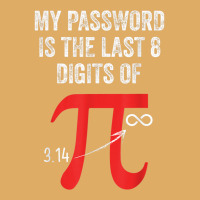 My Password Is Last 8 Digits Of Pi Infinite Math Teacher Kid T Shirt Urban Pullover Hoodie | Artistshot