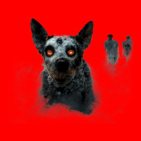 Australian Cattle Dog Trotting Through Zombie With Red Eyes Bomber Jacket | Artistshot