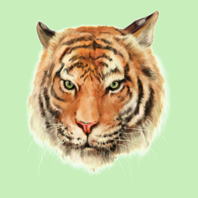 Royal Bengal Tiger Royal Bengal Tiger Urban Heavy T-shirt by IZAHPOWE | Artistshot