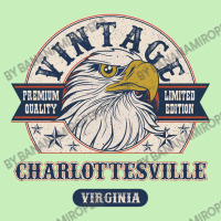 Retro Bald Eagle Charlottesville Virginia Vintage Limited Edition Urban Heavy T-shirt | Artistshot