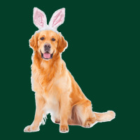 Golden Retriever Wearing Easter Bunny Ears Dog Beanie | Artistshot