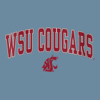 Womens Washington State Cougars Womens Arch Over Heather Gray V Neck T Urban Heavy T-shirt | Artistshot