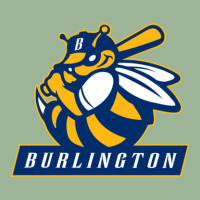 The Burlington Bees Urban Pullover Hoodie | Artistshot