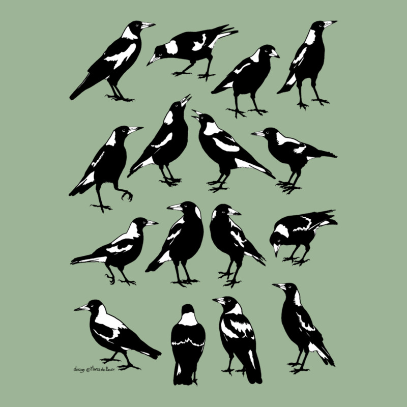 Magpies - Australian Native Birds (choose Preferred Colour And Style) Urban Pullover Hoodie by MYNGOO | Artistshot