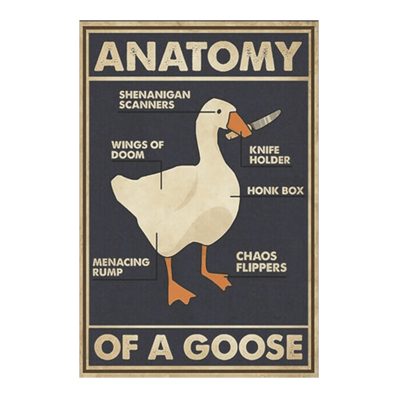 Anatomy Of A Goose, Anatomy, A Goose, Anatomy Of A Goose Vintage, Anat Bomber Jacket | Artistshot