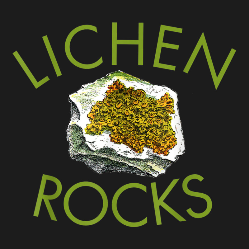 Lichen Lover Shirt, Botanist Shirt, Lichen Rocks Geology! Beanie by cm-arts | Artistshot