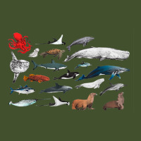 Sea Creatures Collection, Fish Shark Whale Moonfish Fish Motif T Shirt Sun Shade Cap | Artistshot