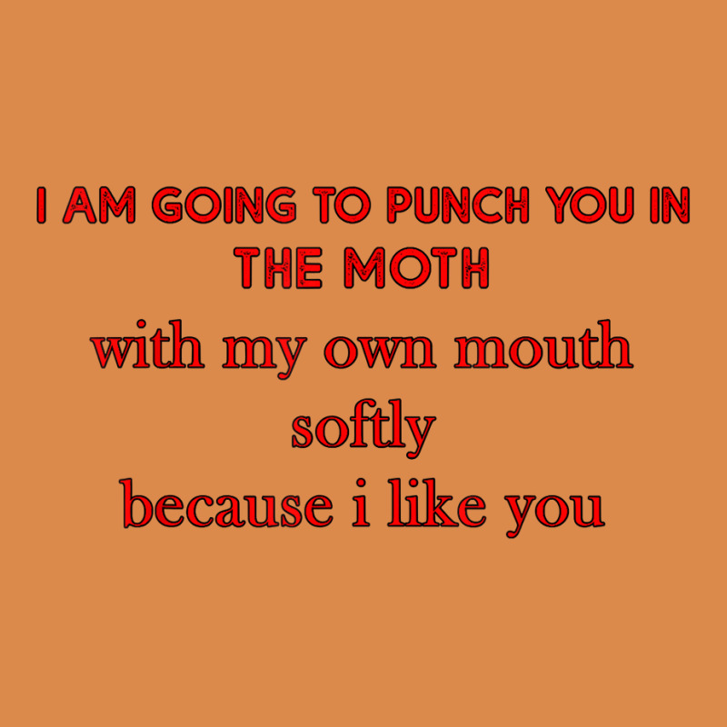 I Am Going To Punch You In The Moth With My Own Mouth Softly T Shirt Dyed Cap | Artistshot