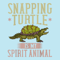 Snapping Turtle Alligator Pet Shell Urban Heavy T-shirt | Artistshot