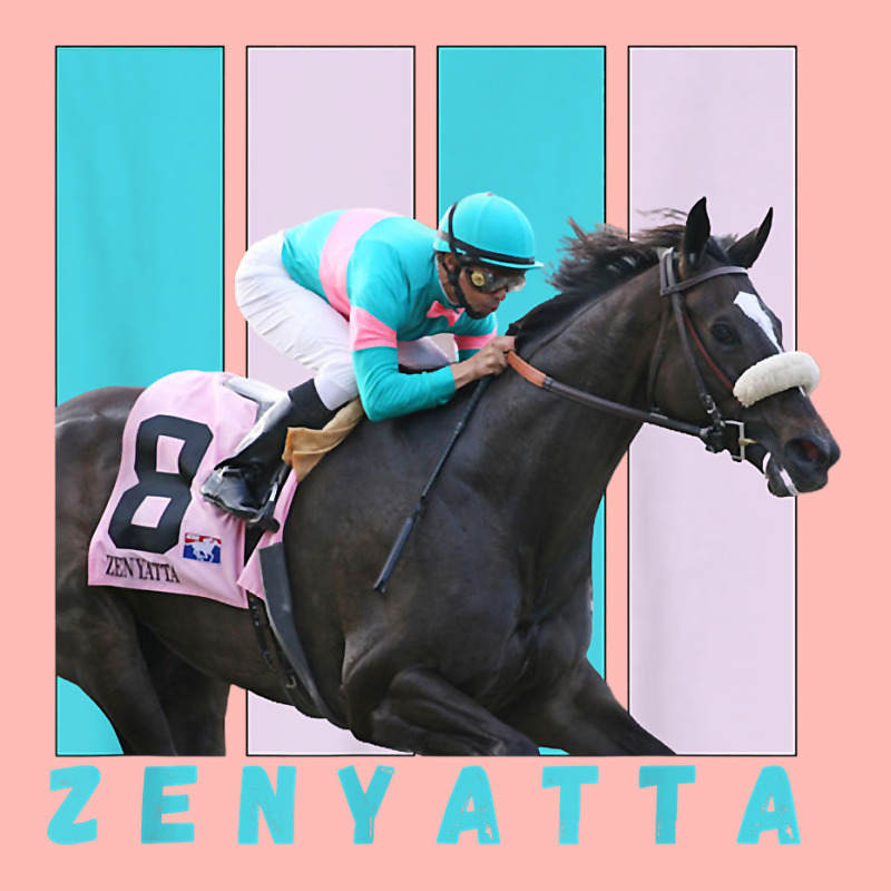 Zenyatta Horse, Thoroughbred, Santa Anita, Del Mar T Shirt Urban Pullover Hoodie by cm-arts | Artistshot