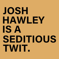 Funny Quote Josh Hawley Is A Seditious Twit Urban Pullover Hoodie | Artistshot