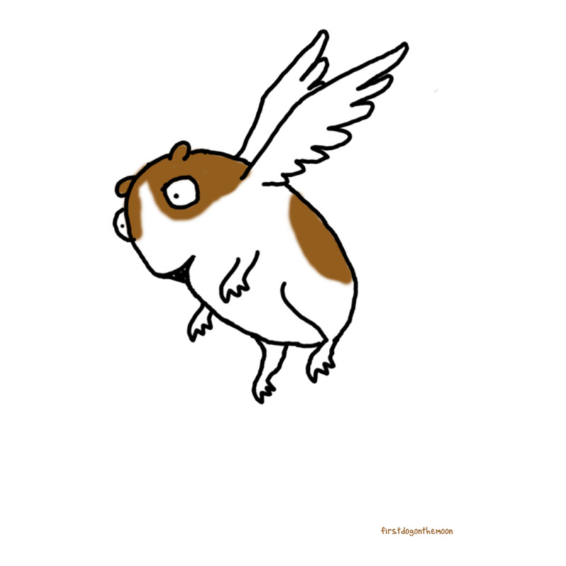 Flying Guinea Pig Bomber Jacket | Artistshot