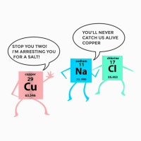 Salt And Copper Police Chemistry Pun Funny Gift For Teacher Coffee Mug | Artistshot