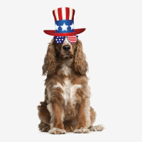 Cocker Spaniel Eyewear American Flag Sunglasses Glasses And Hat 4th Of Ladies Polo Shirt | Artistshot