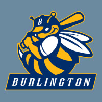 Burlington Bees T Shirts Urban Pullover Hoodie | Artistshot