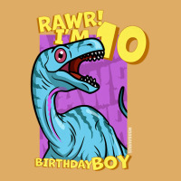 Rawr! I'm 10 Birthday Boys 10th Birthday Dino Noasaurus Urban Pullover Hoodie | Artistshot