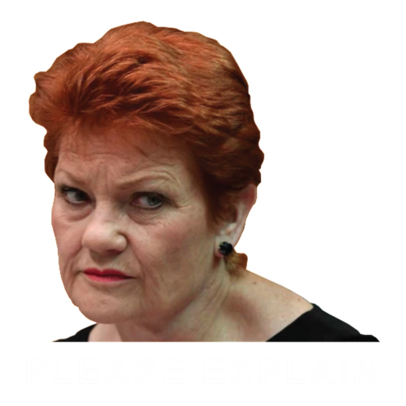 Pauline Hanson - Please Explain Bomber Jacket by cm-arts | Artistshot