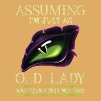 Assuming I'm Just An Old Lady Was Your First Mistake Dragon Urban Heavy T-shirt | Artistshot