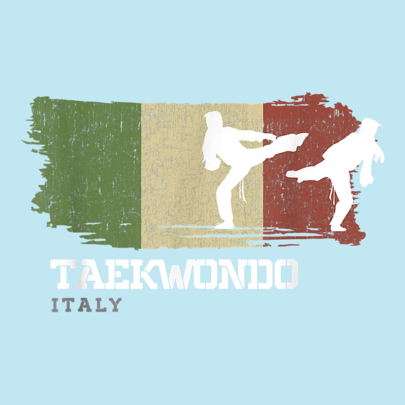 Womens Taekwondo Italy Combat Sports Martial Arts T Shirt Urban Heavy T-shirt | Artistshot