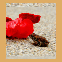 Cute Tiny Multi Colored Frog Next To A Red Geranium Blossom Flower  Sl Urban Heavy T-shirt | Artistshot