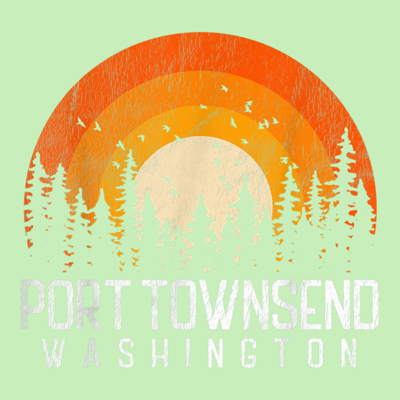 Port Townsend Washington Wa Shirt Retro 70s 80s Vintage Gift T Shirt Urban Pullover Hoodie | Artistshot