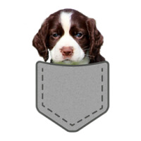 English Springer Spaniel Dog In Your Pocket Bomber Jacket | Artistshot