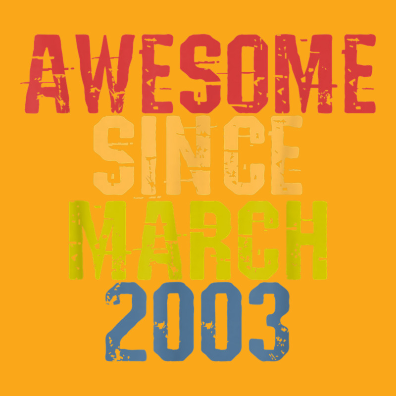 Awesome Since March 2003 Year Old Birthday Retro Beanie | Artistshot