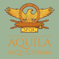 Ancient Rome   Latin Language   The Eagle Is The Most Equal Long Sleev Urban Heavy T-shirt | Artistshot