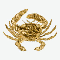 Golden Crustaceancore Urban Heavy T-shirt | Artistshot