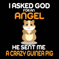 I Asked God  For An Angel He Sent Me A Crazy   Guinea Pig Toddler 3/4 Sleeve Tee | Artistshot