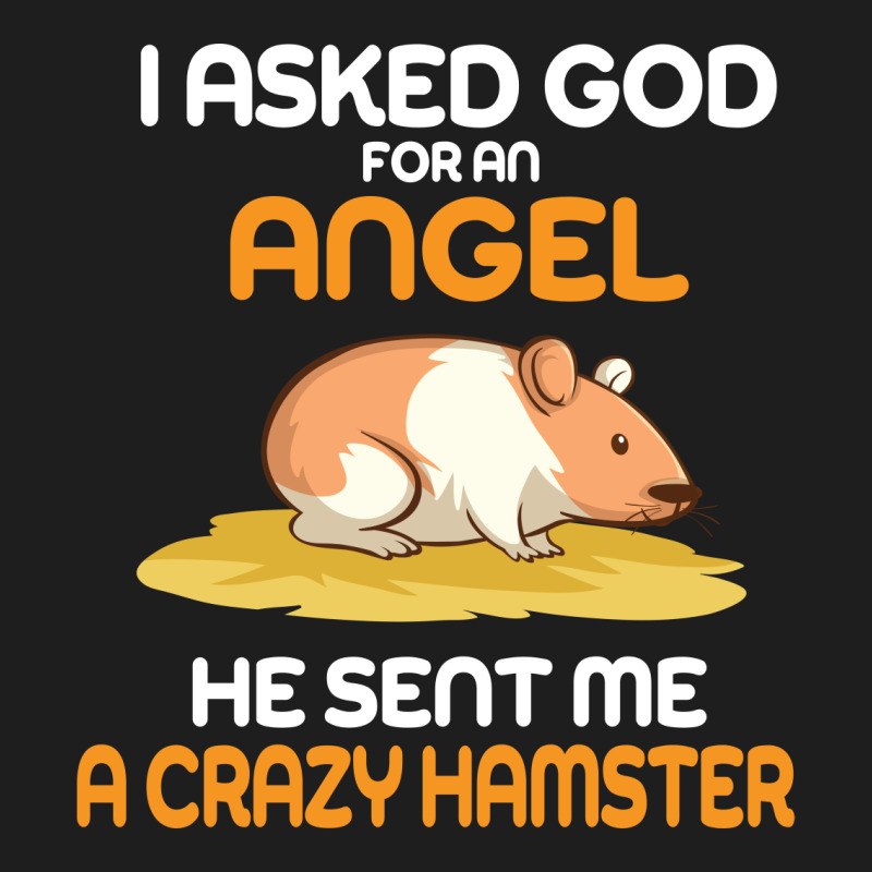 I Asked God  For An Angel He Sent Me A Crazy  Hamster Classic T-shirt by vip.pro123 | Artistshot