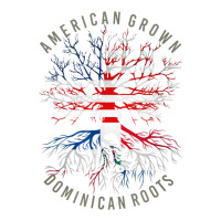 American Grown Dominican Roots Usa Republic Flag Heritage T Shirt Visor Hat | Artistshot