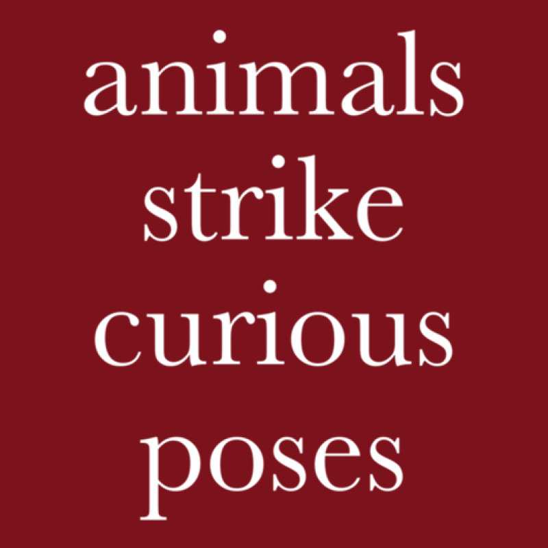 Animals Strike Curious Poses Beanie by JesusMesaMurillo | Artistshot