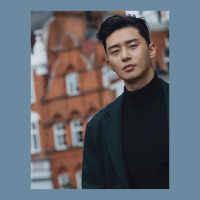 Park Seo Joon Park Urban Pullover Hoodie | Artistshot