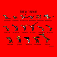 Meet The Pterosaurs For Boyfriend Bomber Jacket | Artistshot