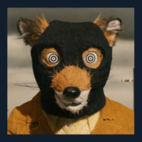 Fantastic Mr Fox Beanie | Artistshot