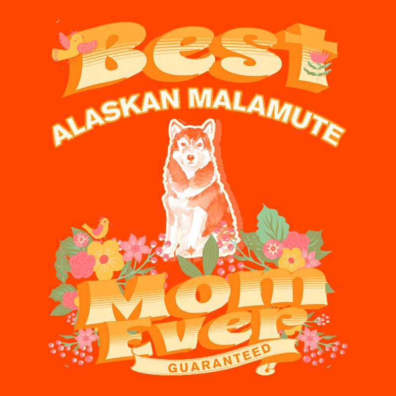 Dog Moms T  Shirt Best Alaskan Malamute Mom   Dog Mom, Dog Owner Gifts Retro Trucker Cap | Artistshot