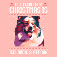 Christmas Gift For Dog Lovers T  Shirt All I Want For Christmas Is Ice Urban Heavy T-shirt | Artistshot