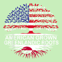 Usa & Greenland Flags Tee American Grown Greenlandic Roots T Shirt Urban Pullover Hoodie | Artistshot