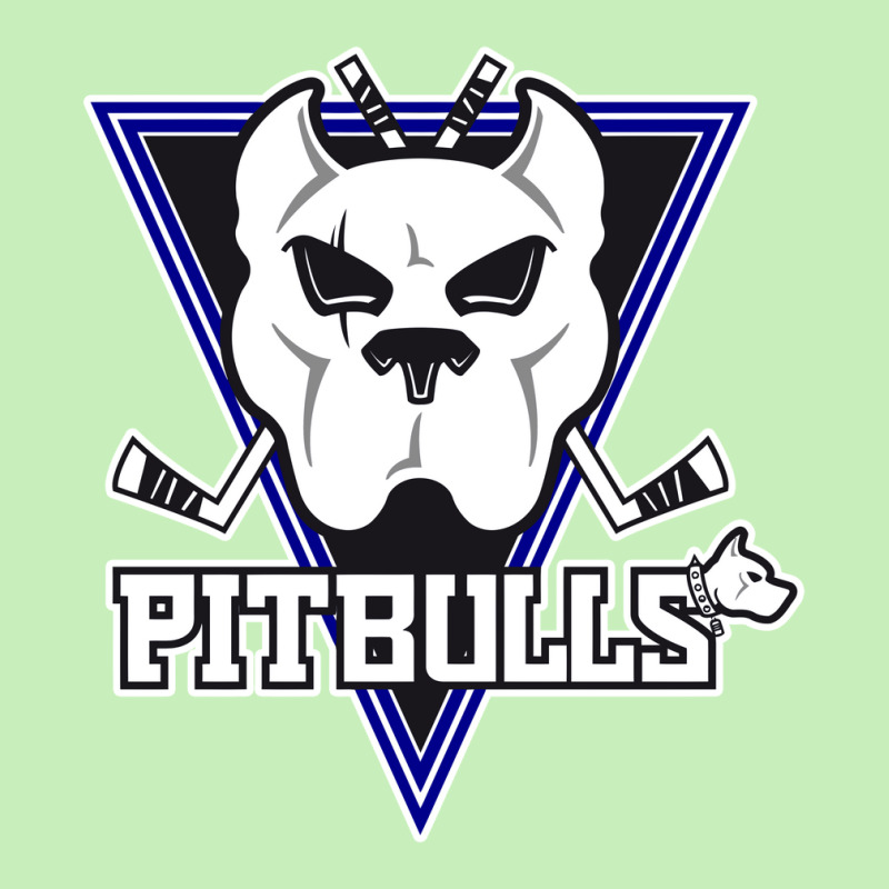 Bristol Pitbulls Urban Pullover Hoodie | Artistshot