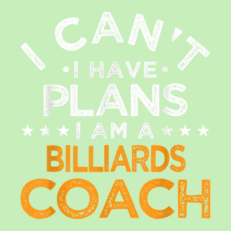 I Can't I Have Plans Billiards Coach Funny Pool Player Humor T Shirt Urban Pullover Hoodie | Artistshot