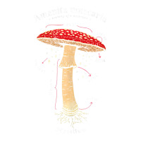 Amanita Muscaria Mushroom Definition Latin Art Tank Top Bomber Jacket | Artistshot