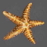 Starfish Seamless Cap | Artistshot