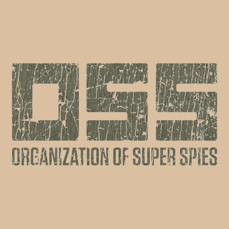 Oss (organization Of Super Spies), Spy Kids Foam Snapback hat by apolitery | Artistshot