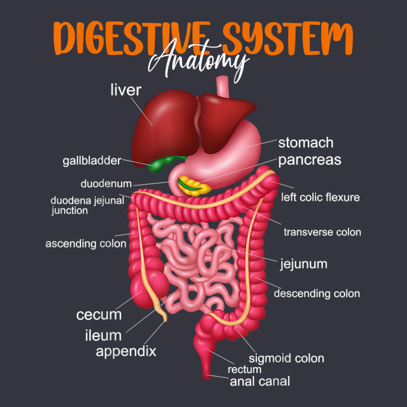 Funny Digestive System Anatomy Anatomical Biology Teacher T Shirt Snapback Trucker Cap by gyzhahykaete | Artistshot